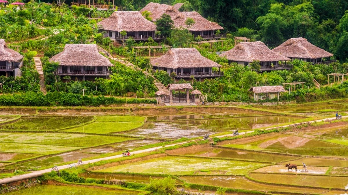 Ruộng bậc thang Mai Châu (Ruộng bậc thang Mai Châu nằm trong Bản Lác) - ảnh địa điểm 2