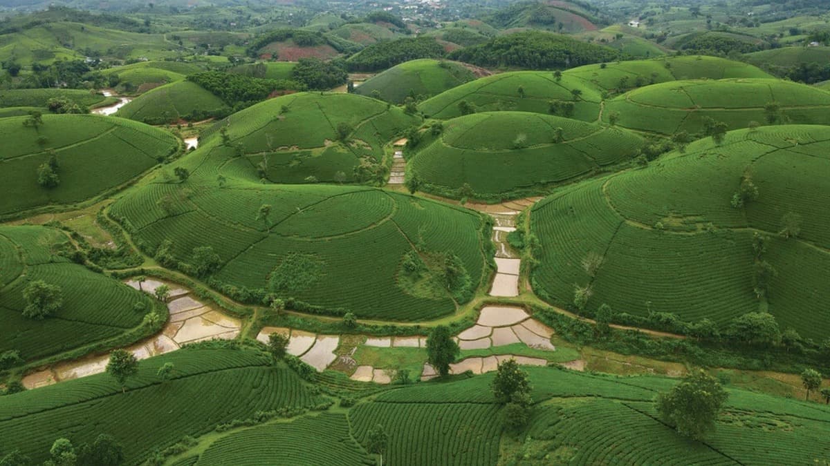 Vườn Quốc gia Xuân Sơn - location photo 3