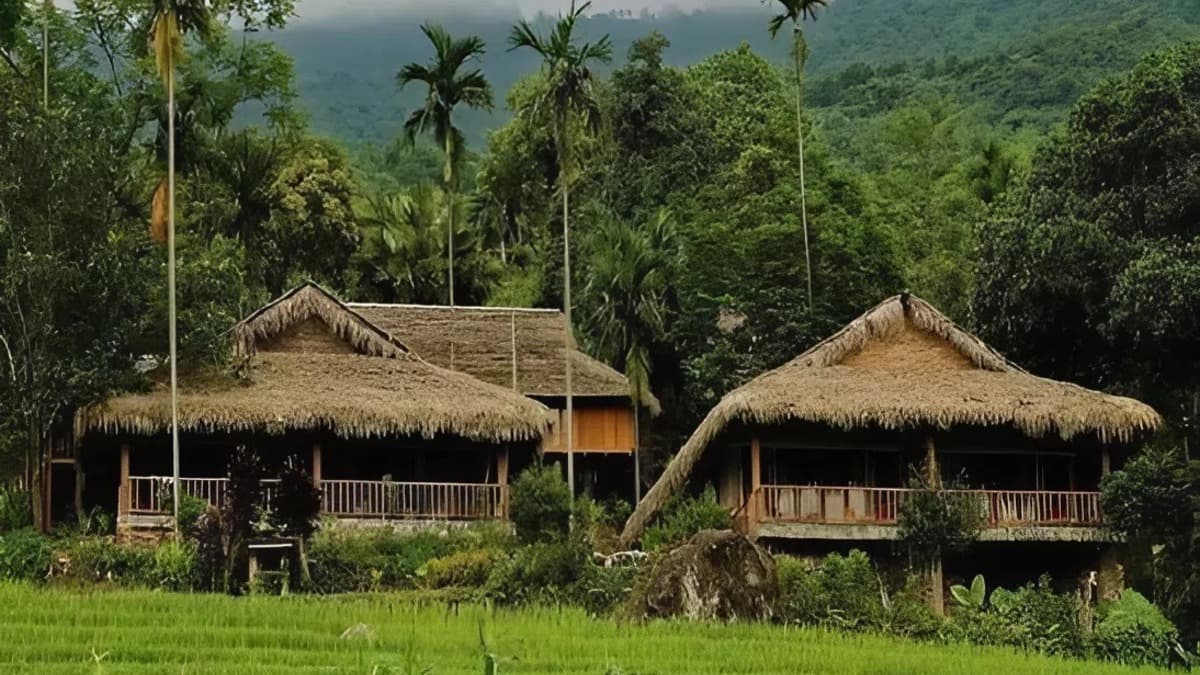 Bản Đôn - location photo 4