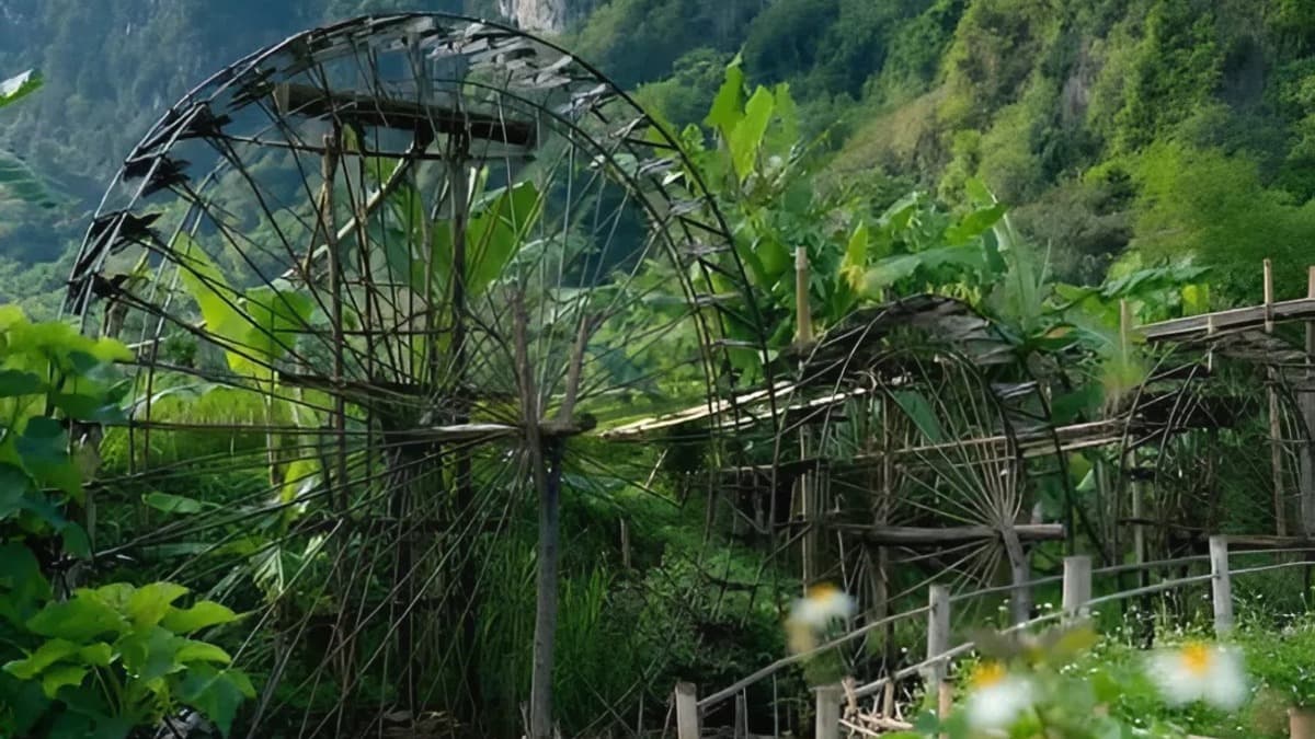 Bản Đôn - location photo 3