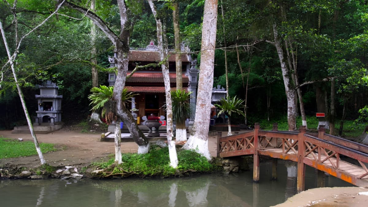 Suối cá thần Cẩm Lương - location photo 2