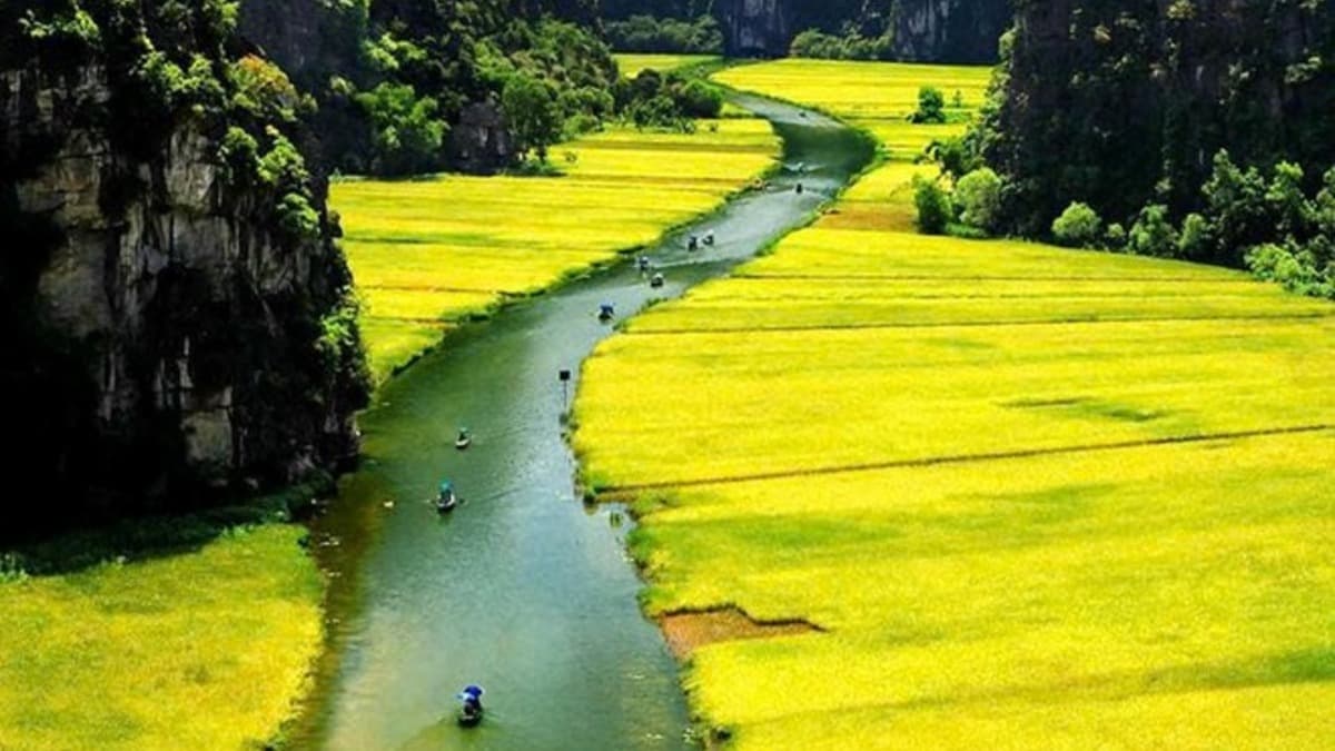 Tam Cốc – Bích Động - ảnh địa điểm 4