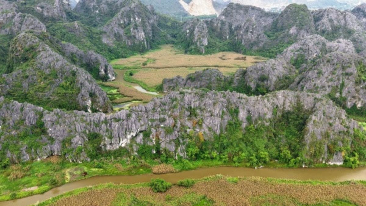 Khu bảo tồn đất ngập nước Vân Long - location photo 2