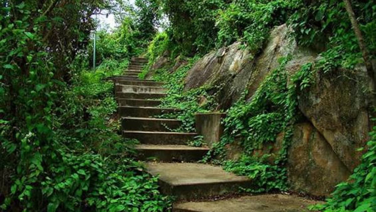 Pháo Đài Núi Sam (Lô Cốt Núi Sam) - ảnh địa điểm 3