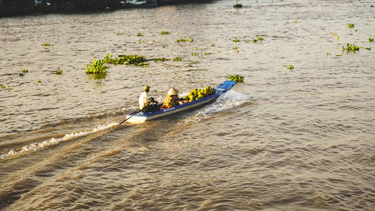 Marché flottant de Long Xuyên - ảnh địa điểm 2