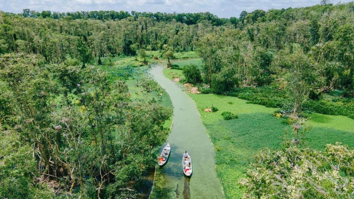 Tra Su Cajuput Forest - ảnh địa điểm 4