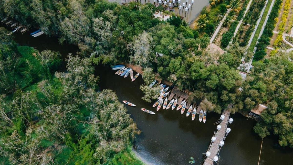 Tra Su Cajuput Forest - ảnh địa điểm 3