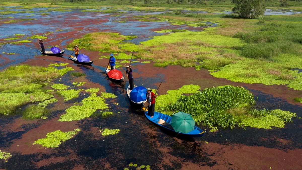 Vườn quốc gia U Minh Thượng - location photo 4