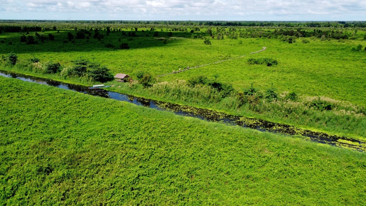 Vườn quốc gia U Minh Thượng - location photo 2