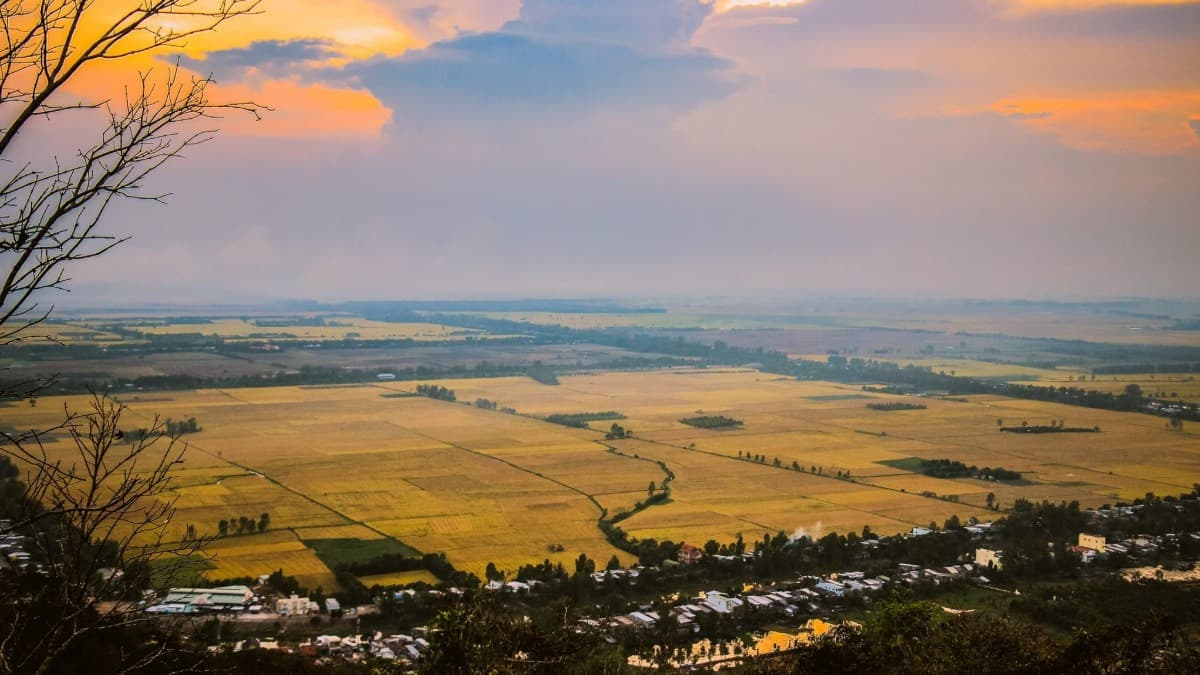 Cánh đồng Tà Pạ - location photo 3