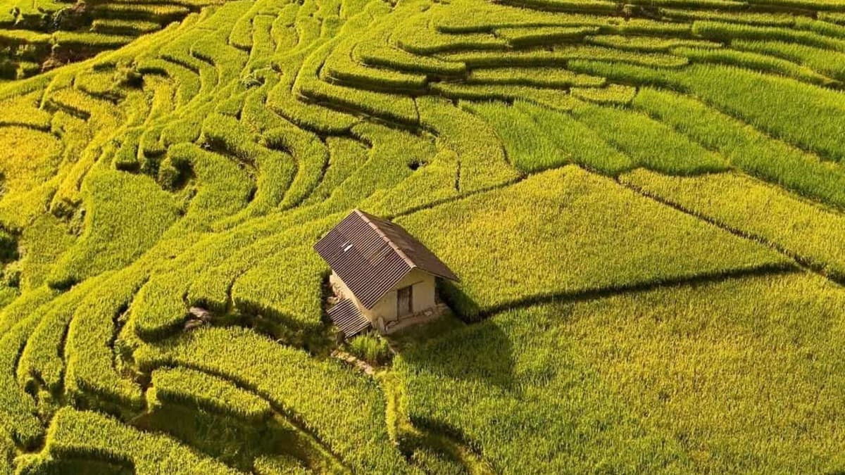 ターヴァン村 (Bản Tả Van) - ảnh địa điểm 2