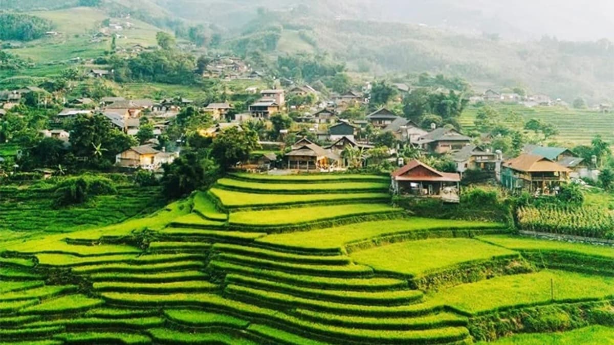 ターヴァン村 (Bản Tả Van) - ảnh địa điểm 3