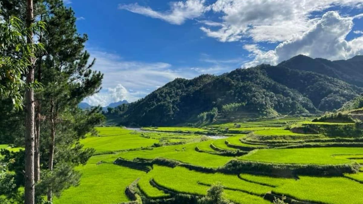 Ngọc Chiến - ảnh địa điểm 3