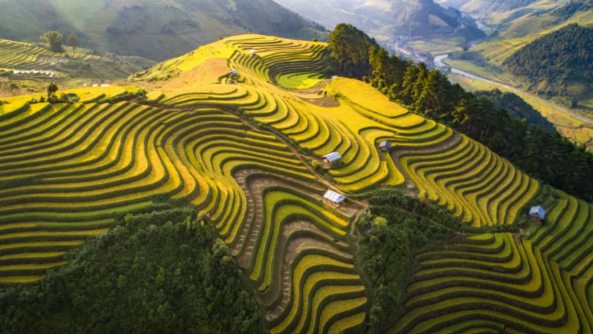 Tú Lệ - ảnh địa điểm 5