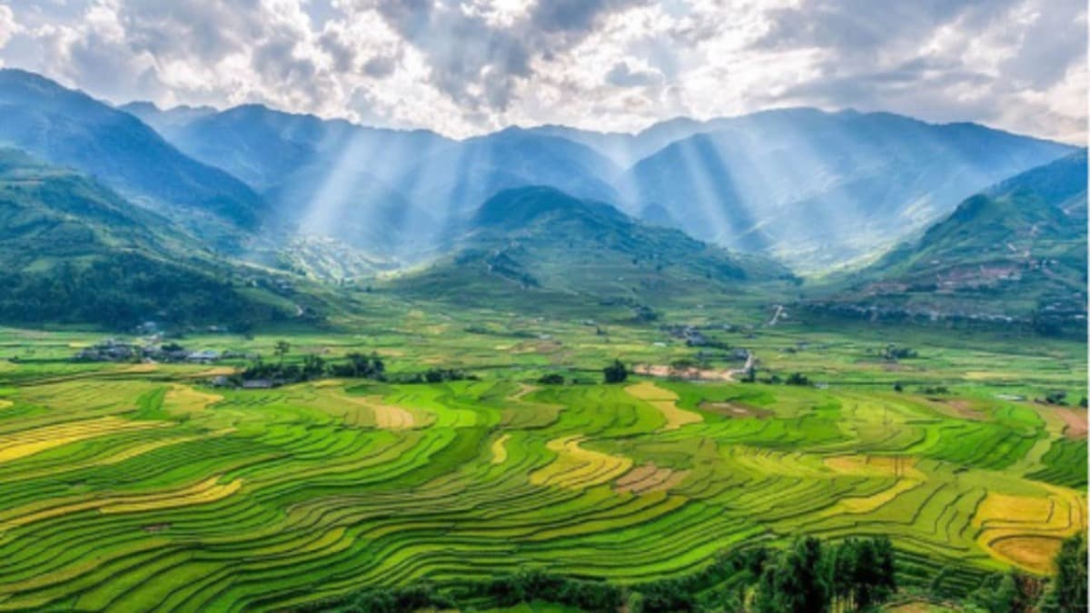 Tú Lệ - ảnh địa điểm 1