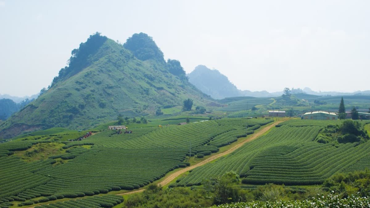 Đỉnh Pha Luông - location photo 2