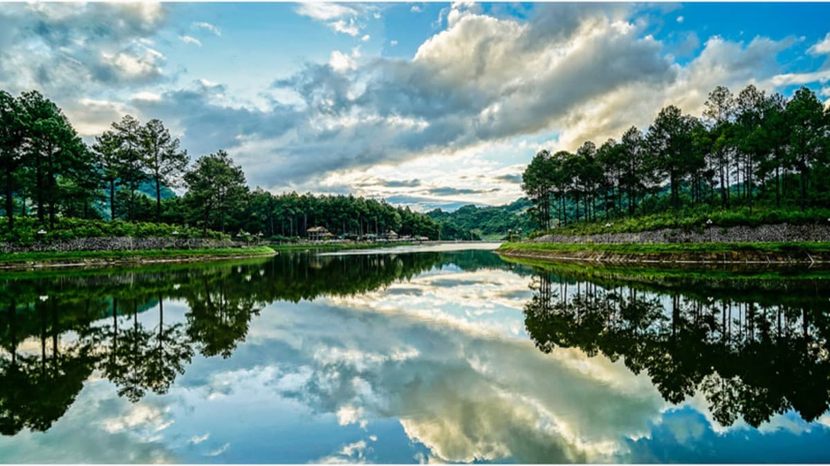 Rừng thông Bản Áng - location photo 3
