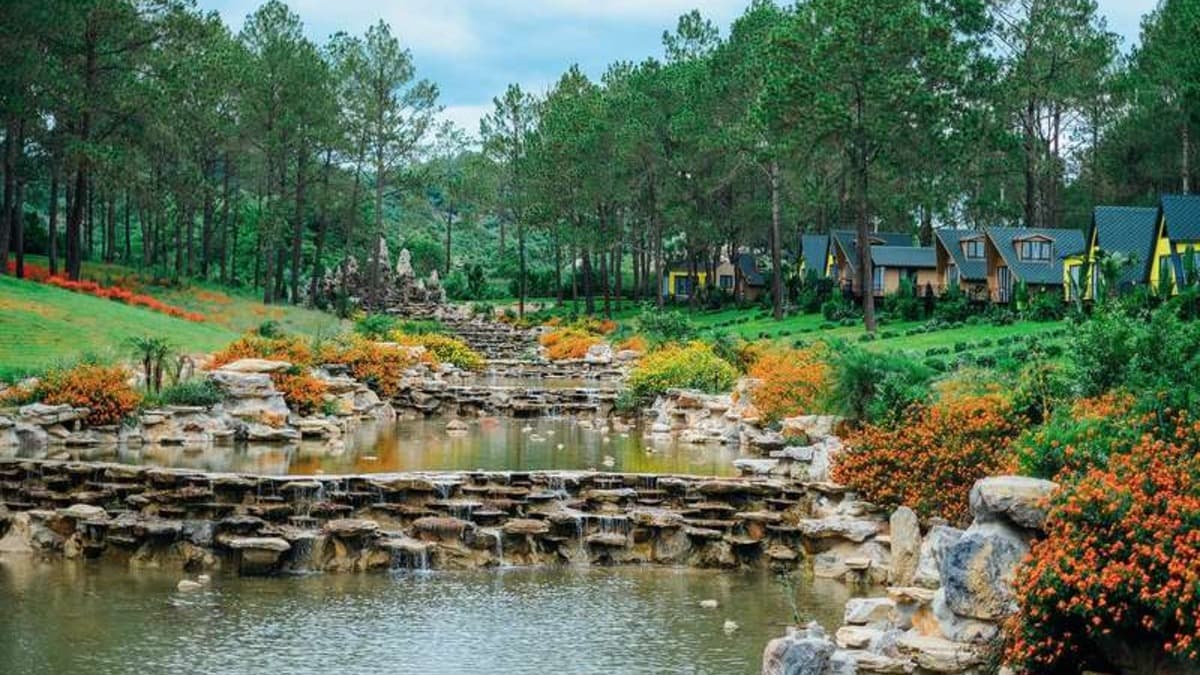 Rừng thông Bản Áng - location photo 4