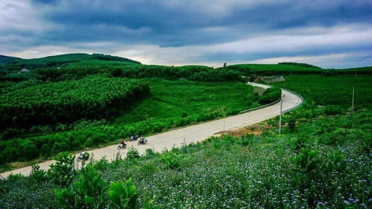 Cao nguyên Vân Hòa - ảnh địa điểm 5