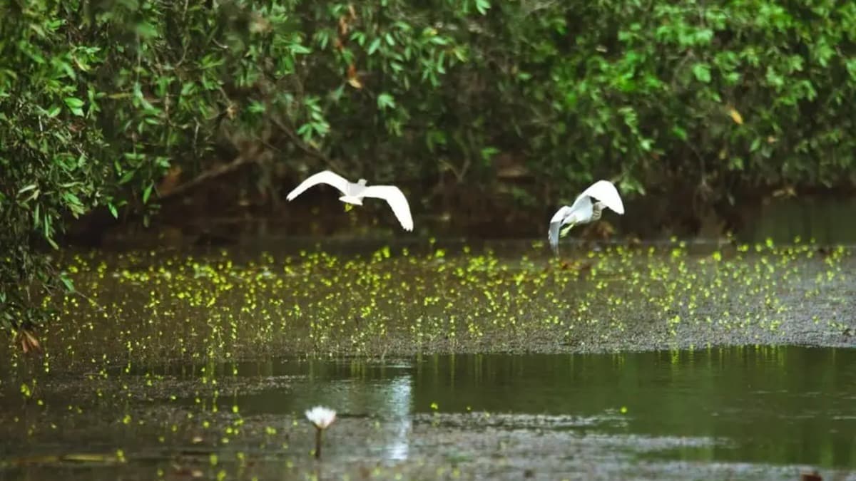 Khu du lịch Cánh Đồng Bất Tận  - location photo 6