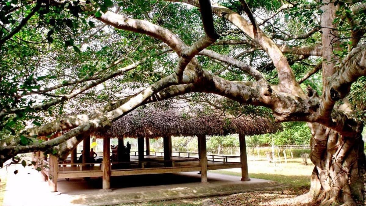 Đình Tân Trào - location photo 3