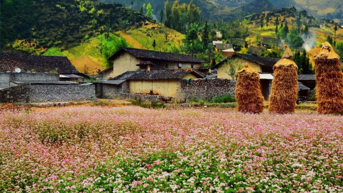 Làng văn hóa du lịch Lũng Cẩm - location photo 3