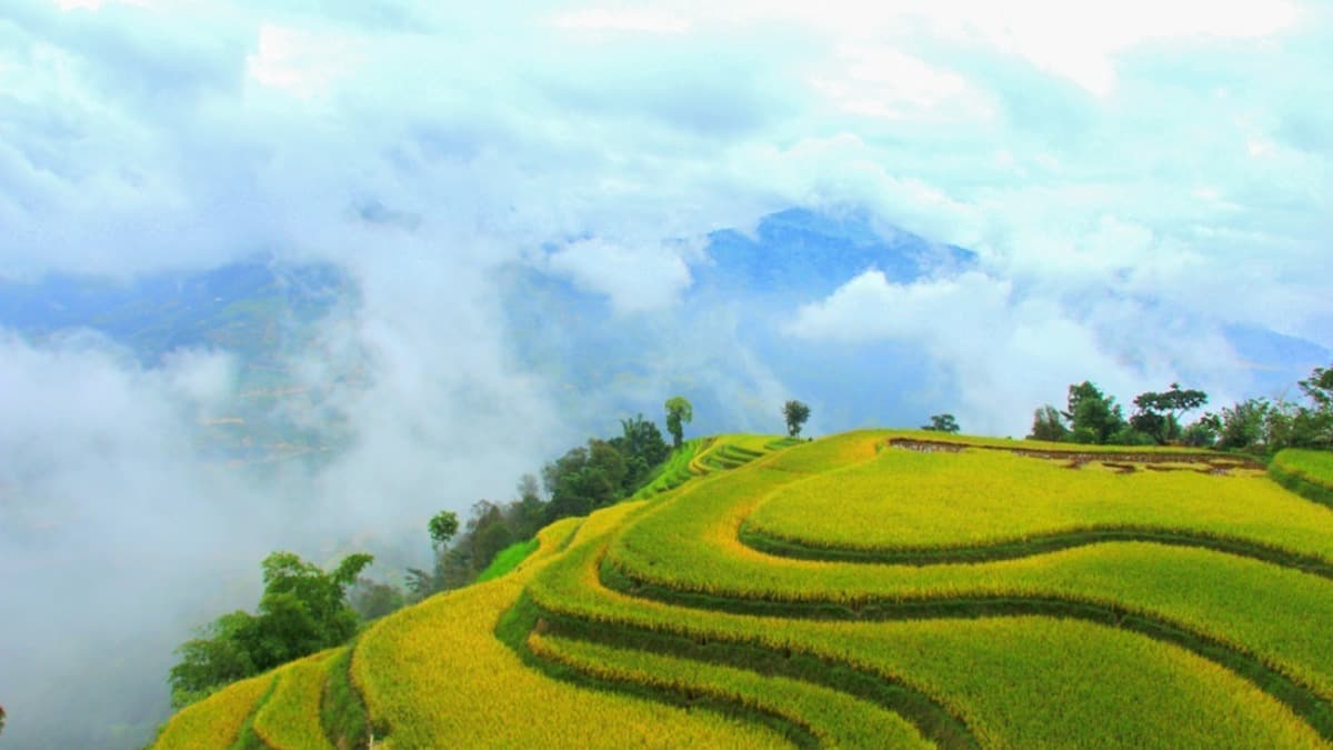 Bản Phùng – Hoàng Su Phì - location photo 3