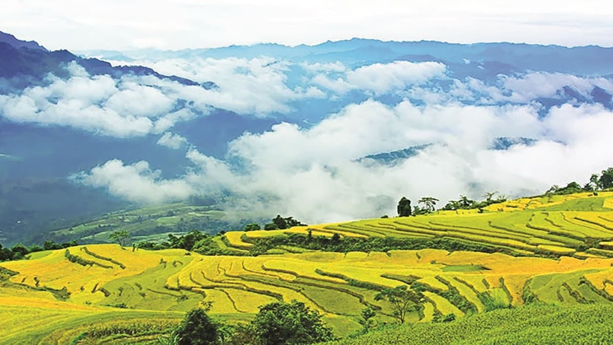 Ruộng bậc thang Hồng Thái - ảnh địa điểm 2