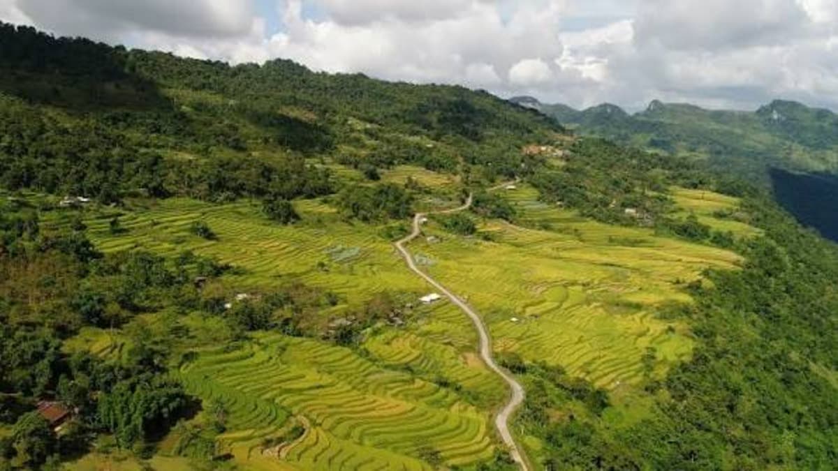 Ruộng bậc thang Hồng Thái - ảnh địa điểm 4