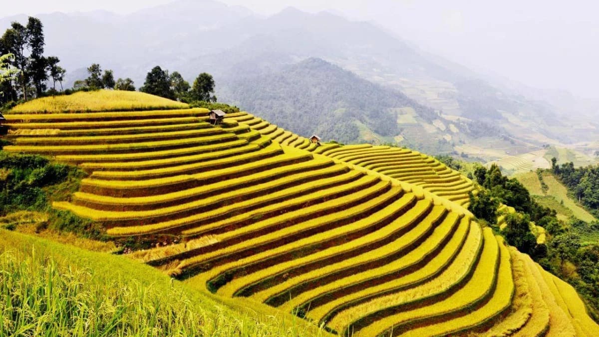 Ruộng bậc thang Hồng Thái - ảnh địa điểm 5