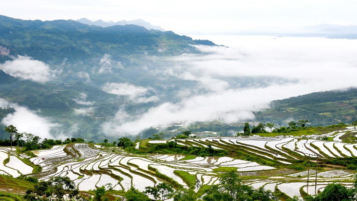 Ruộng bậc thang Hồng Thái - ảnh địa điểm 3