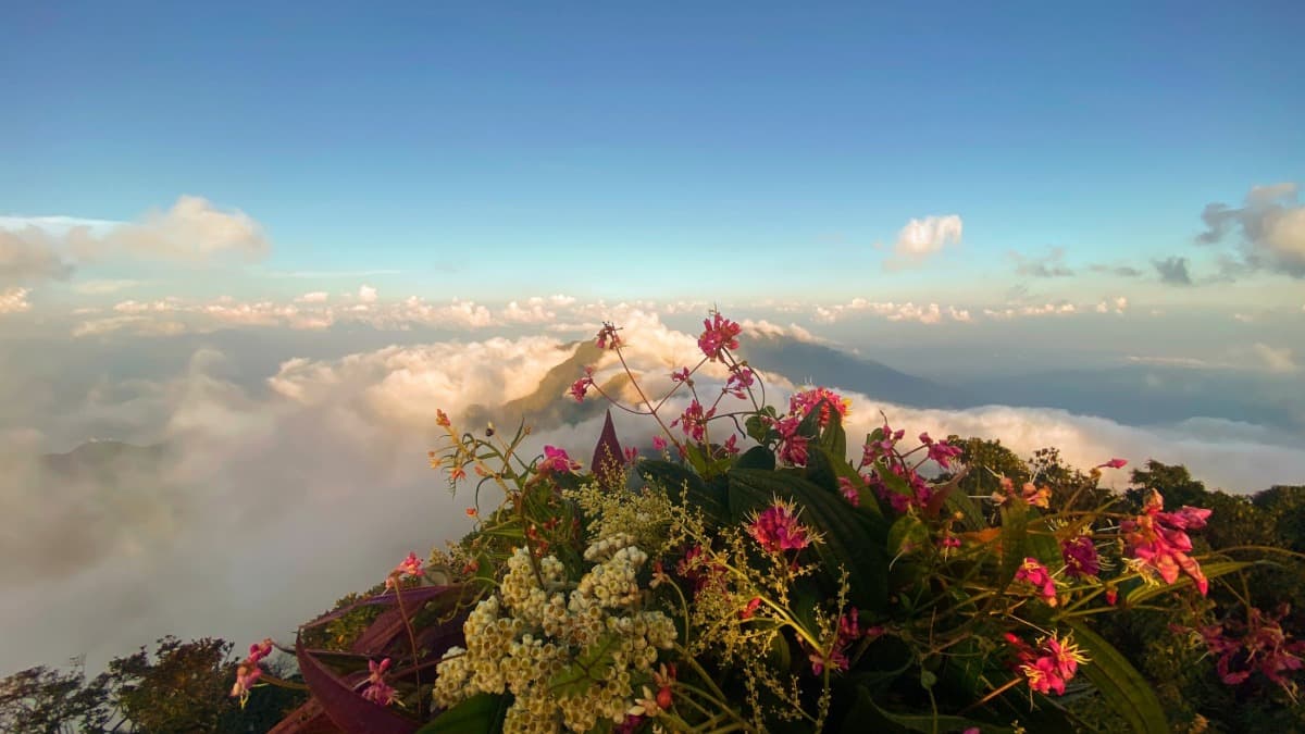 Monte Tây Côn Lĩnh - ảnh địa điểm 5