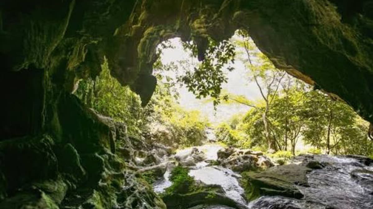 Source Mo Ga - ảnh địa điểm 2