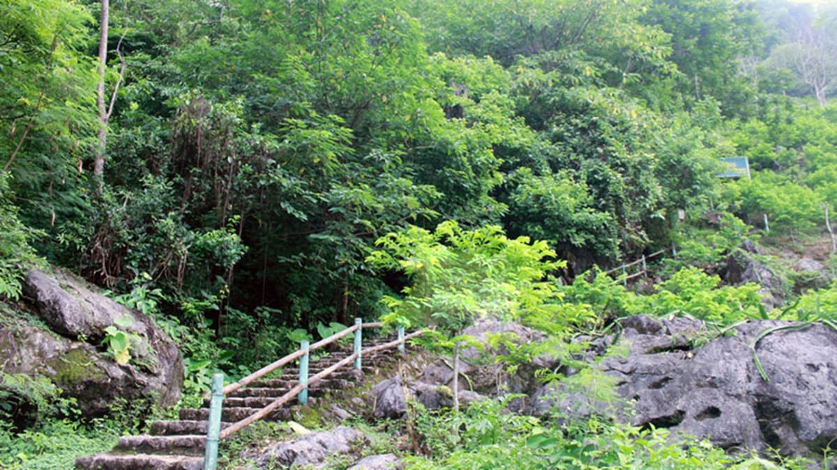 Grotte Phượng Hoàng - ảnh địa điểm 2