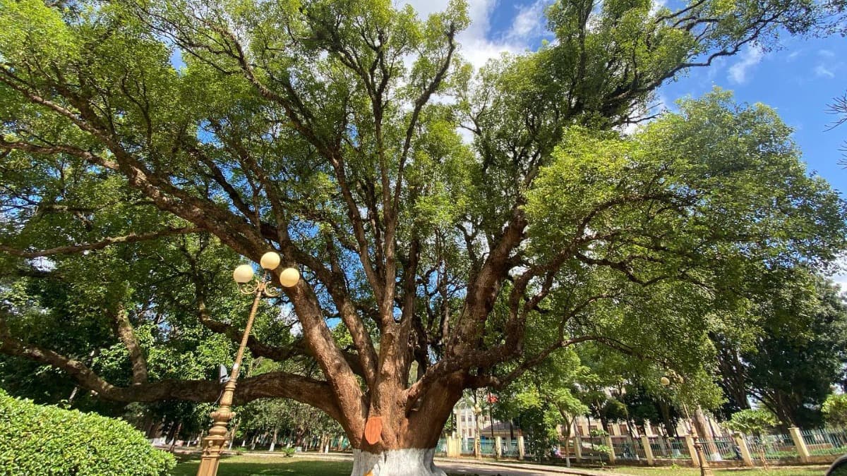 Biệt điện Bảo Đại - location photo 2