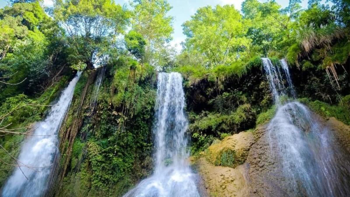 Cascade de Nậm Chim - ảnh địa điểm 1