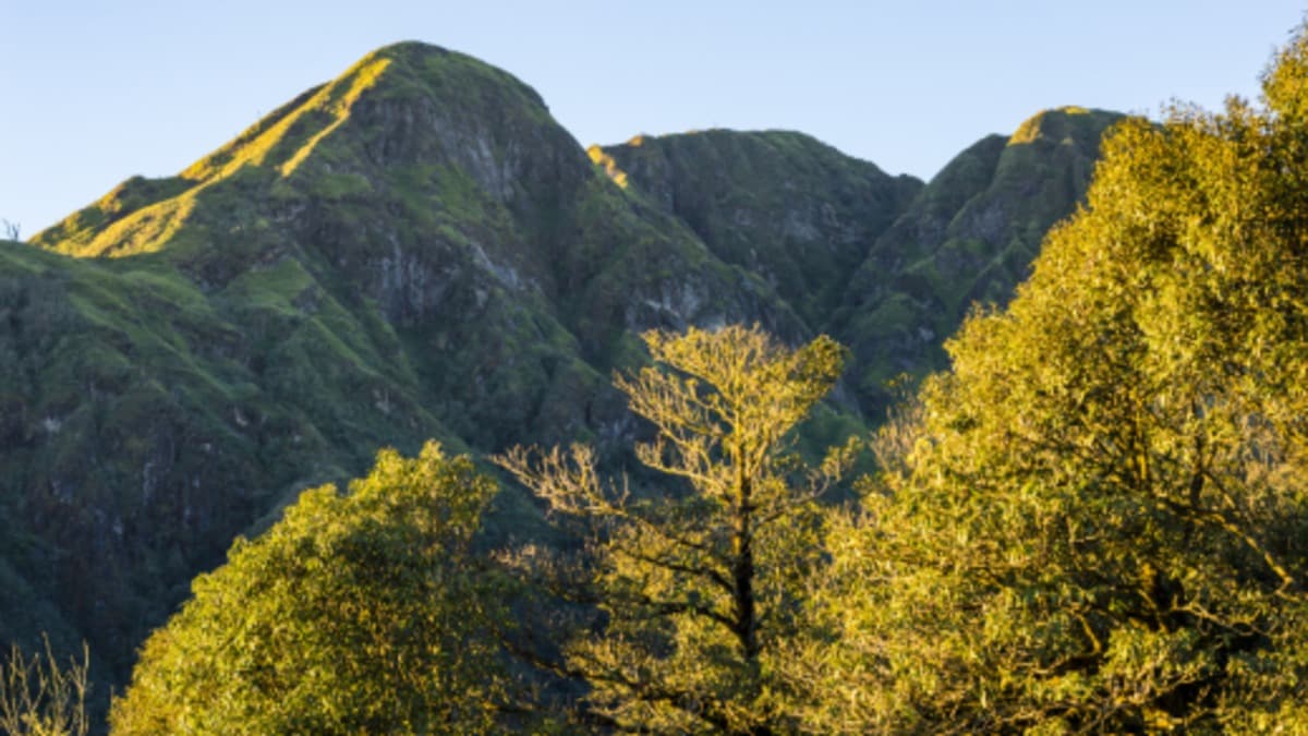 Hoang Lien National Park - location photo 4