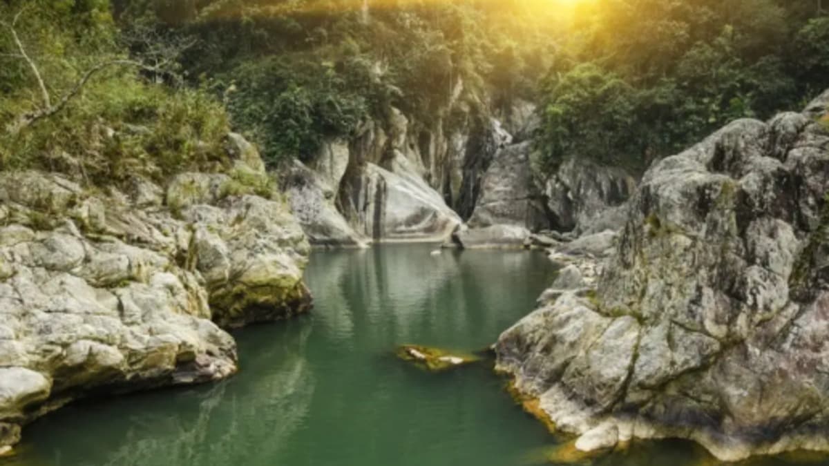 Hoang Lien National Park - location photo 5