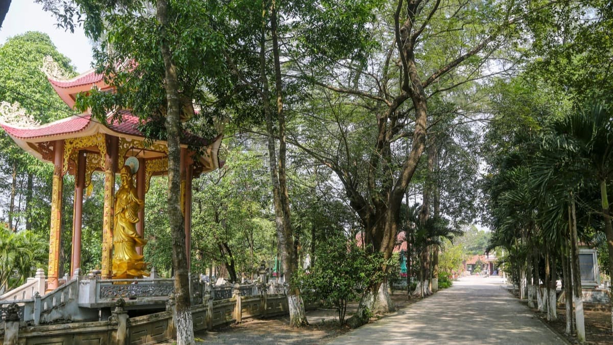 톤타인 사원 (Chùa Tôn Thạnh) - ảnh địa điểm 3