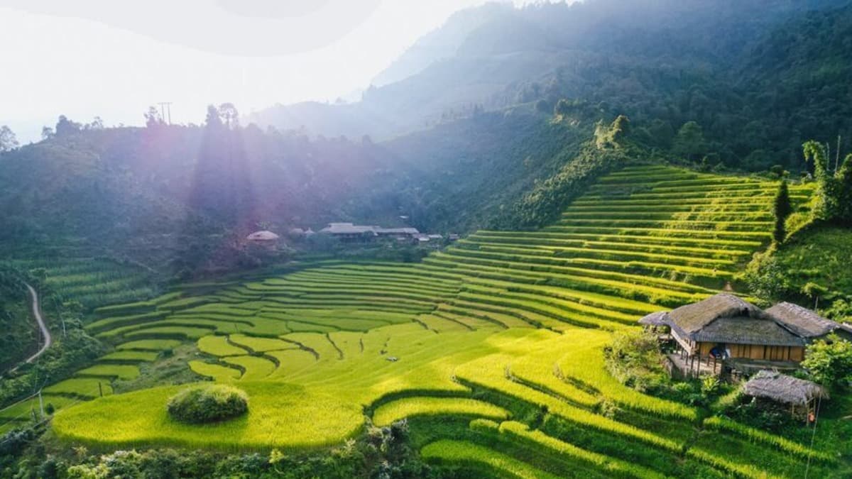Bản Liền - Bắc Hà - ảnh địa điểm 2