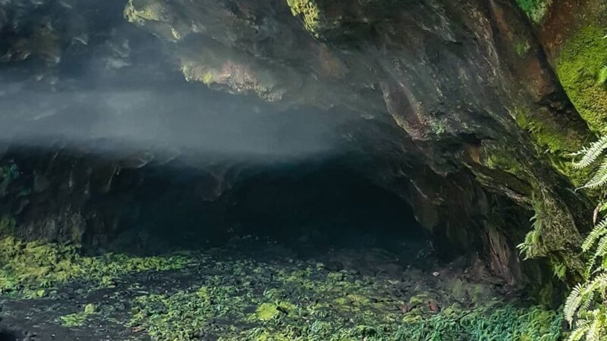 チュ・ブルク火山洞窟（Hang động núi lửa Chư Bluk） - ảnh địa điểm 5