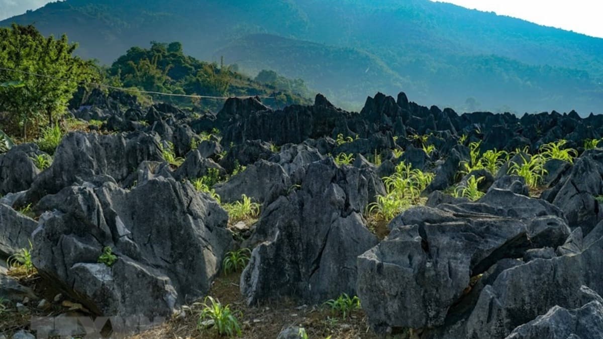 Plateau karstique de Tủa Phìn - ảnh địa điểm 4