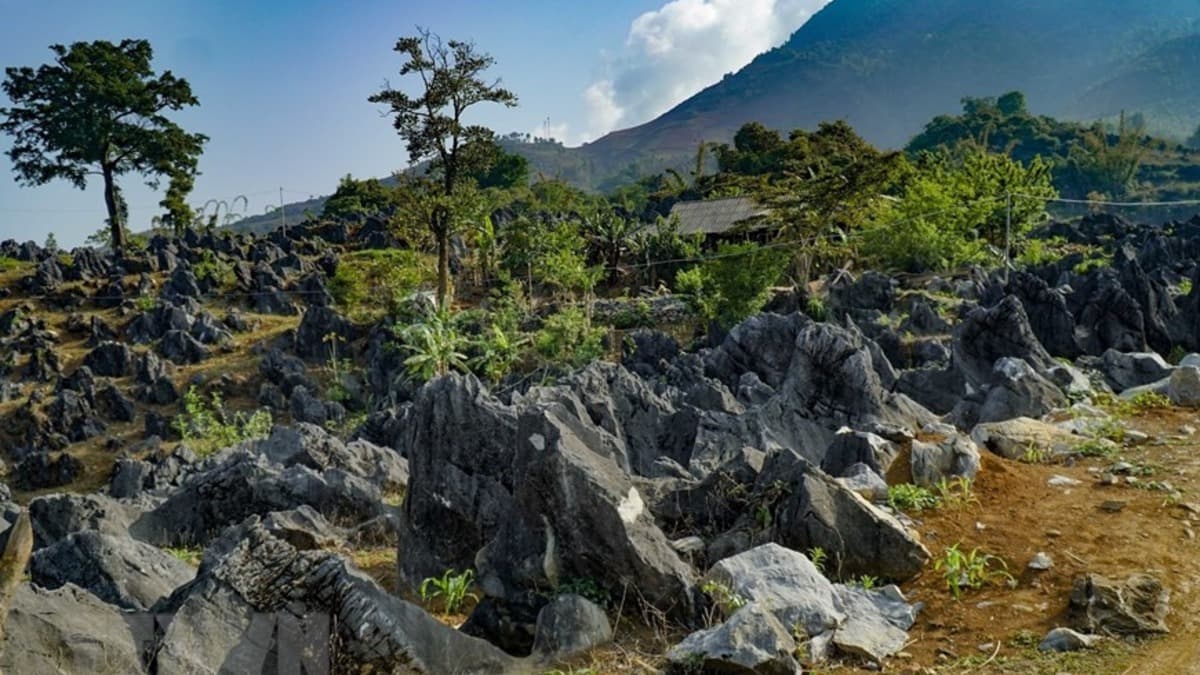 トゥアフィン石灰岩高原