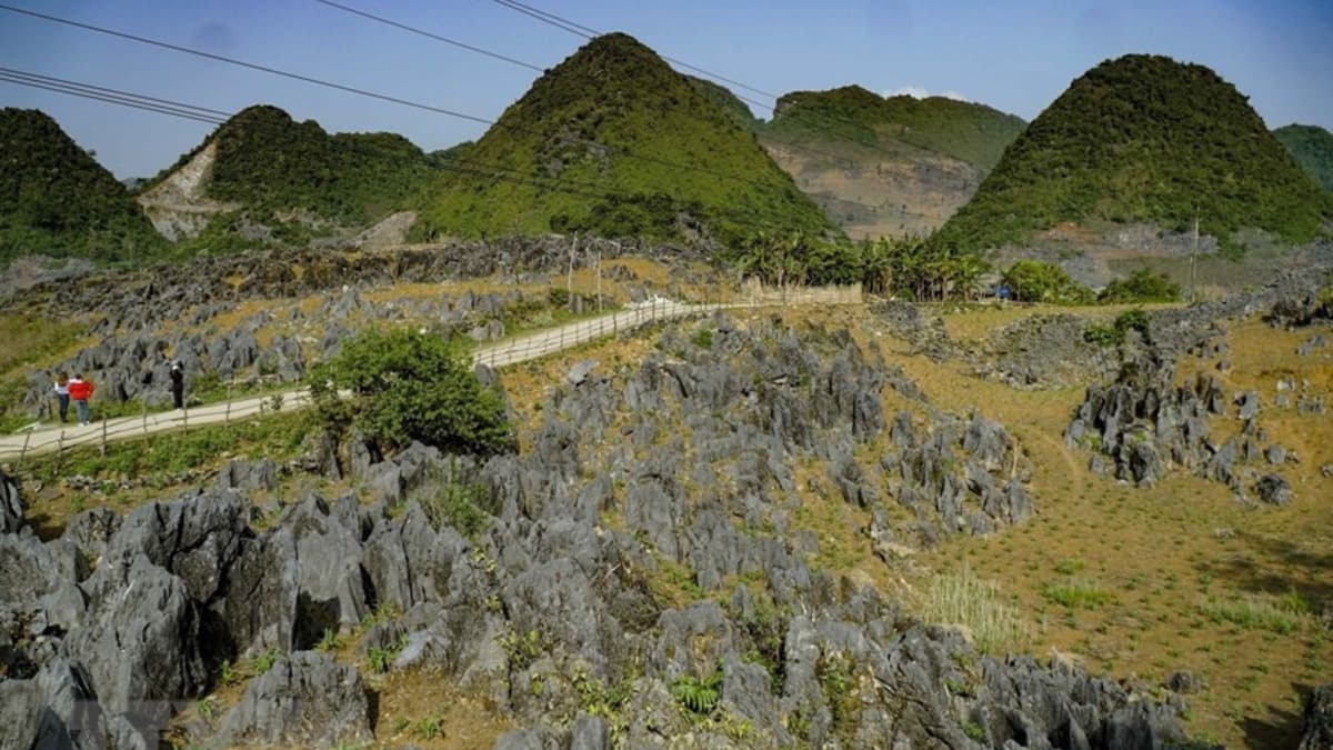 Plateau karstique de Tủa Phìn - ảnh địa điểm 3