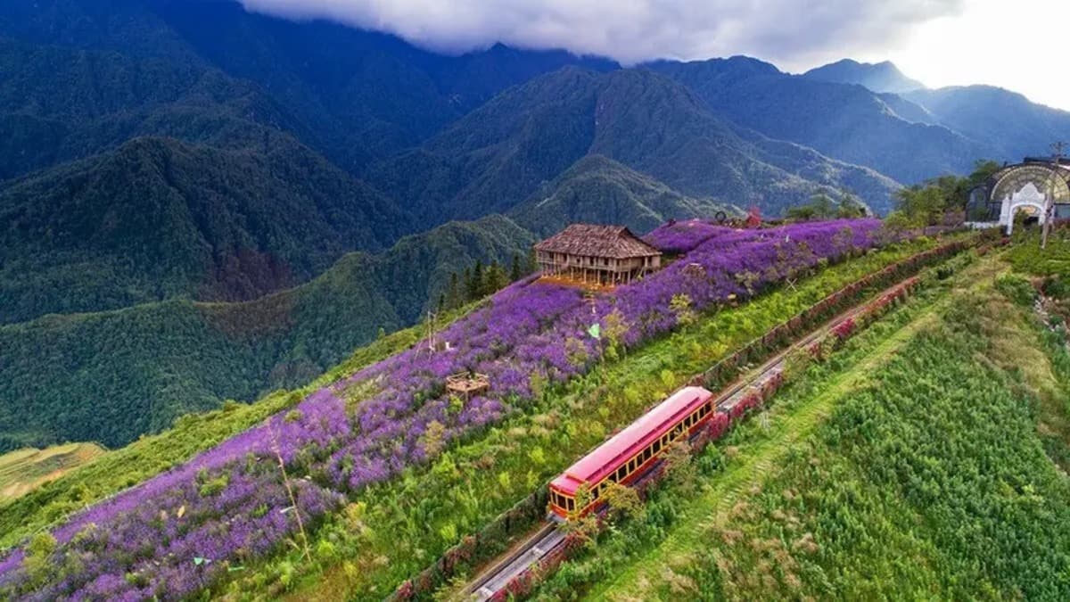 Vallée de Mường Hoa - ảnh địa điểm 3