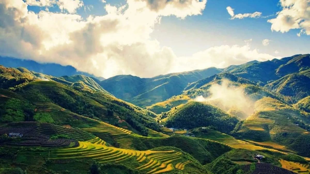 Vallée de Mường Hoa - ảnh địa điểm 2