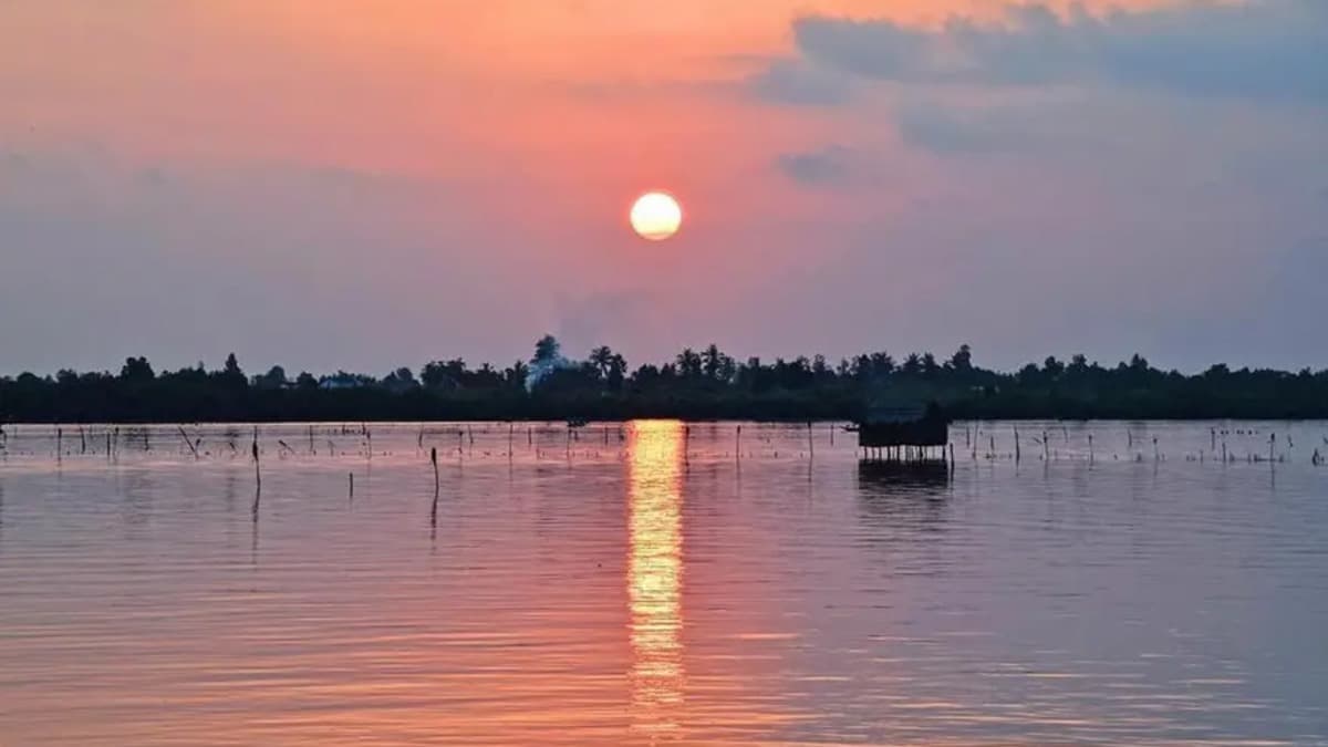Mui Ca Mau National Park – Dat Mui - location photo 3