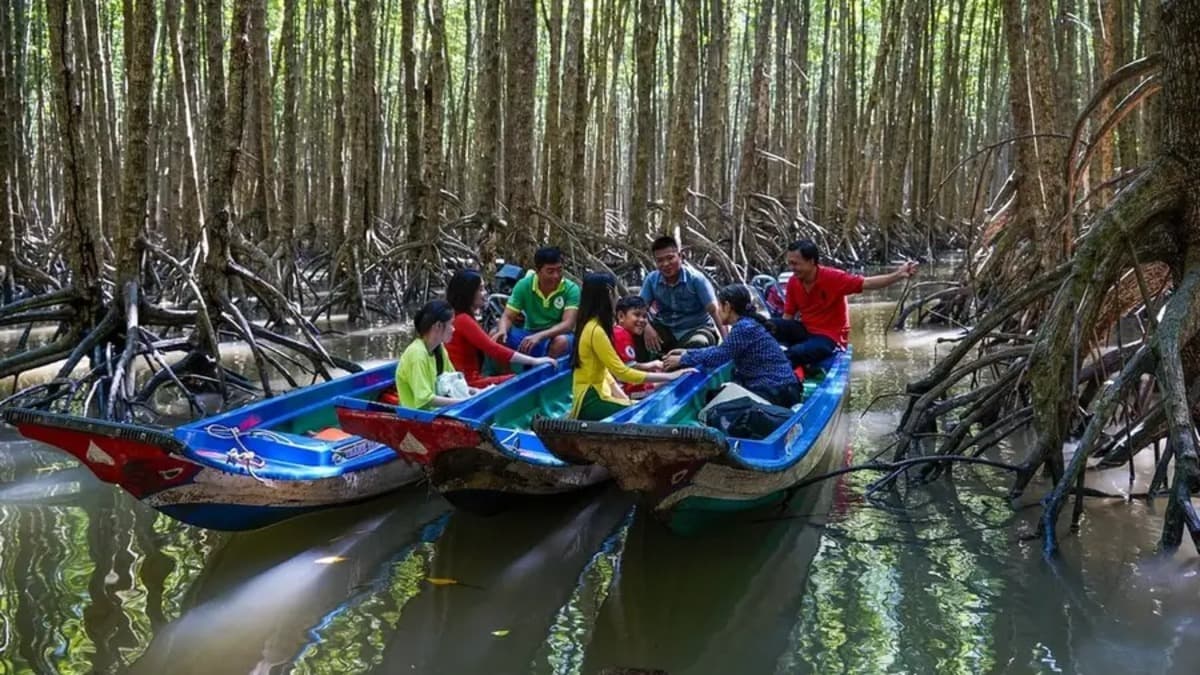 Mui Ca Mau National Park – Dat Mui - location photo 2