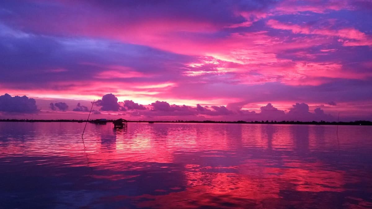 Thi Tuong Lagoon, Ca Mau - location photo 3