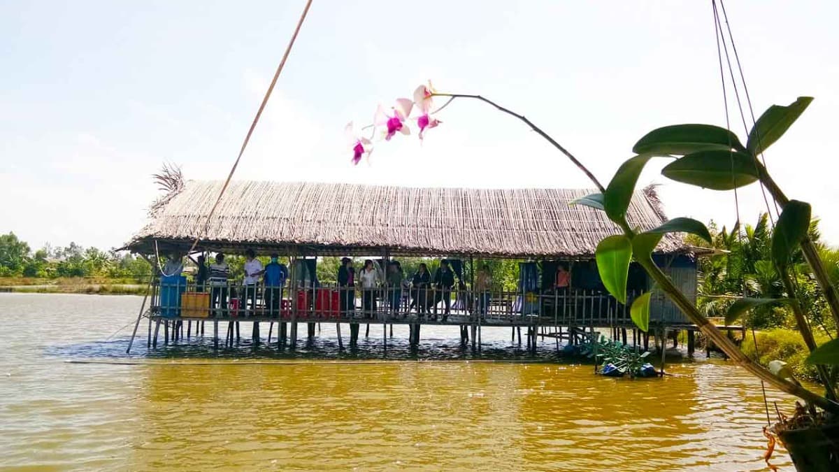 Thi Tuong Lagoon, Ca Mau - location photo 4